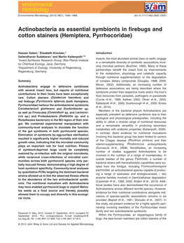 Actinobacteria As Essential Symbionts in Firebugs and Cotton Stainers