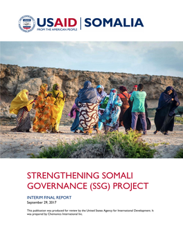 USAID Report Template