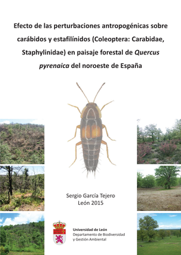 Efecto De Las Perturbaciones Antropogénicas Sobre Carábidos Y Estafilínidos (Coleoptera: Carabidae, Staphylinidae) En Paisaje