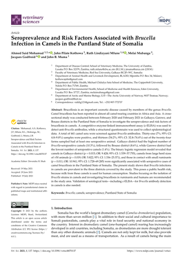 Seroprevalence and Risk Factors Associated with Brucella Infection in Camels in the Puntland State of Somalia