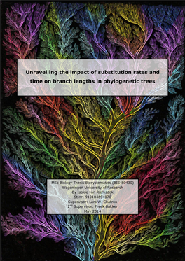 Unravelling the Impact of Substitution Rates and Time on Branch Lengths in Phylogenetic Trees