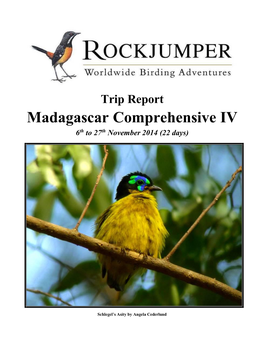 Madagascar Comprehensive IV 6Th to 27Th November 2014 (22 Days)