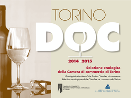 Torino DOC 2014-2015