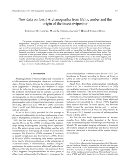 New Data on Fossil Archaeognatha from Baltic Amber and the Origin of the Insect Ovipositor