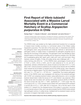 First Report of Vibrio Tubiashii Associated with a Massive Larval Mortality Event in a Commercial Hatchery of Scallop Argopecten Purpuratus in Chile