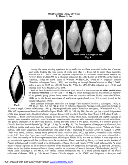 By Harry G. Lee Among the Many Puzzling Specimens in My