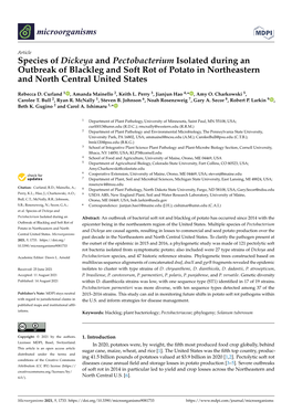 Species of Dickeya and Pectobacterium Isolated During an Outbreak of Blackleg and Soft Rot of Potato in Northeastern and North Central United States