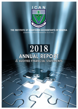 Annual-Report Financial-Statements.Pdf
