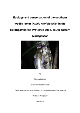 Ecology and Conservation of the Southern Woolly Lemur