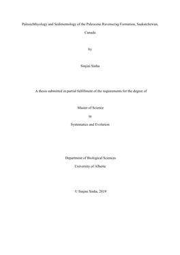 Paleoichthyology and Sedimentology of the Paleocene Ravenscrag Formation, Saskatchewan