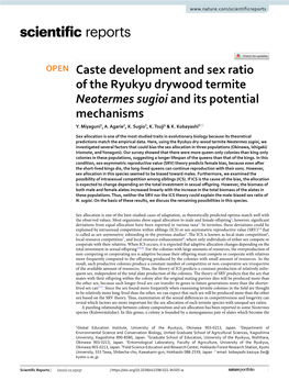 Caste Development and Sex Ratio of the Ryukyu Drywood Termite Neotermes Sugioi and Its Potential Mechanisms Y