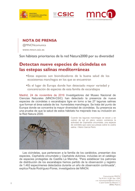 Detectan Nueve Especies De Cicindelas En Las Estepas Salinas