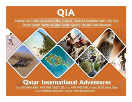 Qatar International Adventure: Desert Safari