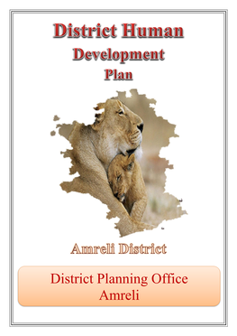 District Planning Office Amreli