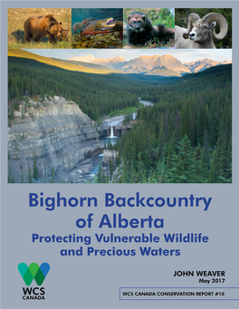 Bighorn Backcountry of Alberta Protecting Vulnerable Wildlife and Precious Waters