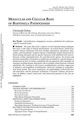 Molecular and Cellular Basis of Bartonella Pathogenesis