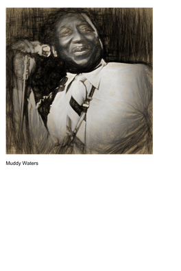 Muddy Waters