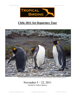 Chile 2011 Set Departure Tour November 5 – 22
