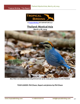 Thailand: Mystical Asia, March 3-18, 2019 Tropical Birding - Trip Report