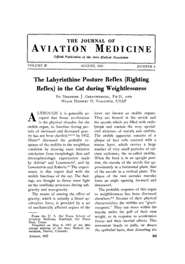 Righting Reflex] in the Cat During Weightlessness