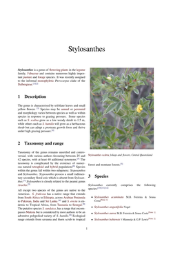 Stylosanthes