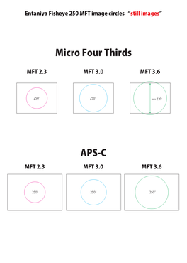 Micro Four Thirds APS-C