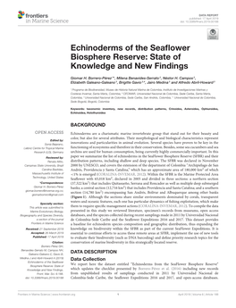 Echinoderms of the Seaflower Biosphere Reserve: State of Knowledge and New Findings