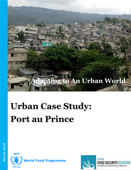 Port Au Prince Case Study