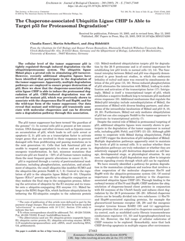 The Chaperone-Associated Ubiquitin Ligase CHIP Is Able to Target P53 for Proteasomal Degradation*