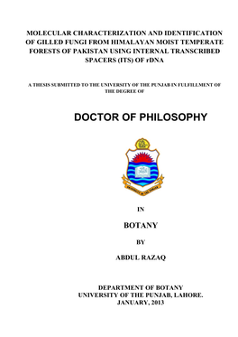 Doctor of Philosophy