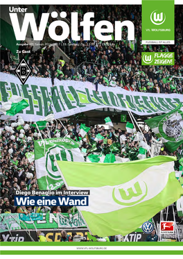 Der Partnerpool Des Vfl Wolfsburg