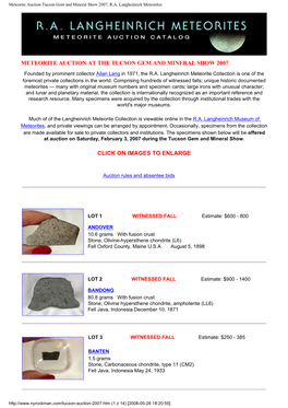 Meteorite Auction Tucson Gem and Mineral Show 2007, R.A. Langheinrich Meteorites
