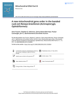 A New Mitochondrial Gene Order in the Banded Cusk-Eel Raneya Brasiliensis (Actinopterygii, Ophidiiformes)