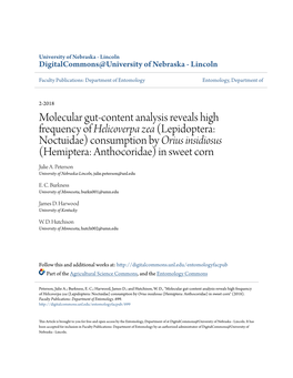 Molecular Gut-Content Analysis Reveals High Frequency of <I>Helicoverpa