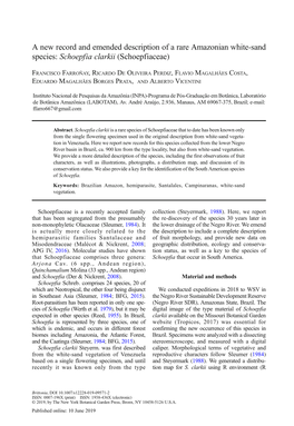 A New Record and Emended Description of a Rare Amazonian White-Sand Species: Schoepfia Clarkii (Schoepfiaceae)