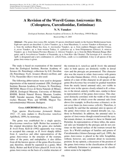 A Revision of the Weevil Genus Amicromias Rtt. (Coleoptera, Curculionidae, Entiminae) N