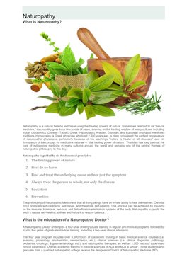 Naturopathy What Is Naturopathy?