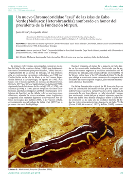 Un Nuevo Chromodorididae “Azul” De Las Islas De Cabo Verde (Mollusca: Heterobranchia) Nombrado En Honor Del Presidente De La Fundación Mirpuri