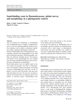 Sand-Binding Roots in Haemodoraceae: Global Survey and Morphology in a Phylogenetic Context