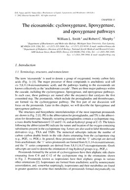 Cyclooxygenase, Lipoxygenase, and Epoxygenase Pathways