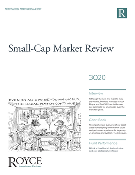 Small-Cap Market Review