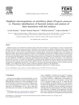 Epiphytic Microorganisms on Strawberry Plants (Fragaria Ananassa Cv