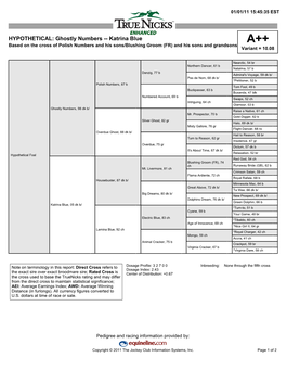 Katrina Blue A++ Based on the Cross of Polish Numbers and His Sons/Blushing Groom (FR) and His Sons and Grandsons Variant = 10.08
