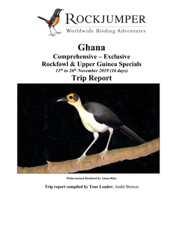 Ghana Comprehensive – Exclusive Rockfowl & Upper Guinea Specials 11Th to 26Th November 2019 (16 Days) Trip Report
