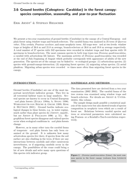 3.6 Ground Beetles (Coleoptera: Carabidae) in the Forest Canopy: Species Composition, Seasonality, and Year-To-Year ﬂuctuation