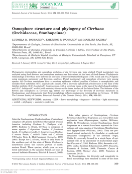 Osmophore Structure and Phylogeny of Cirrhaea (Orchidaceae, Stanhopeinae)