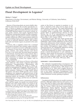 Floral Development in Legumes1