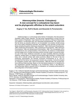 Ademosynidae (Insecta: Coleoptera): a New Concept for a Coleopteran Key Taxon and Its Phylogenetic Affinities to the Extant Suborders