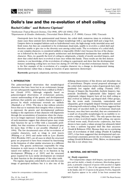 Dollo's Law and the Re-Evolution of Shell Coiling