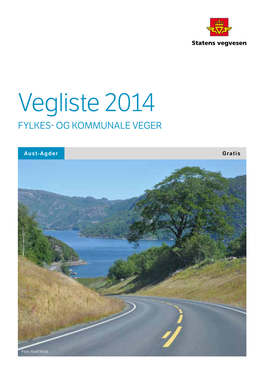 Vegliste 2014 Fylkes- Og Kommunale Veger I Aust-Agder